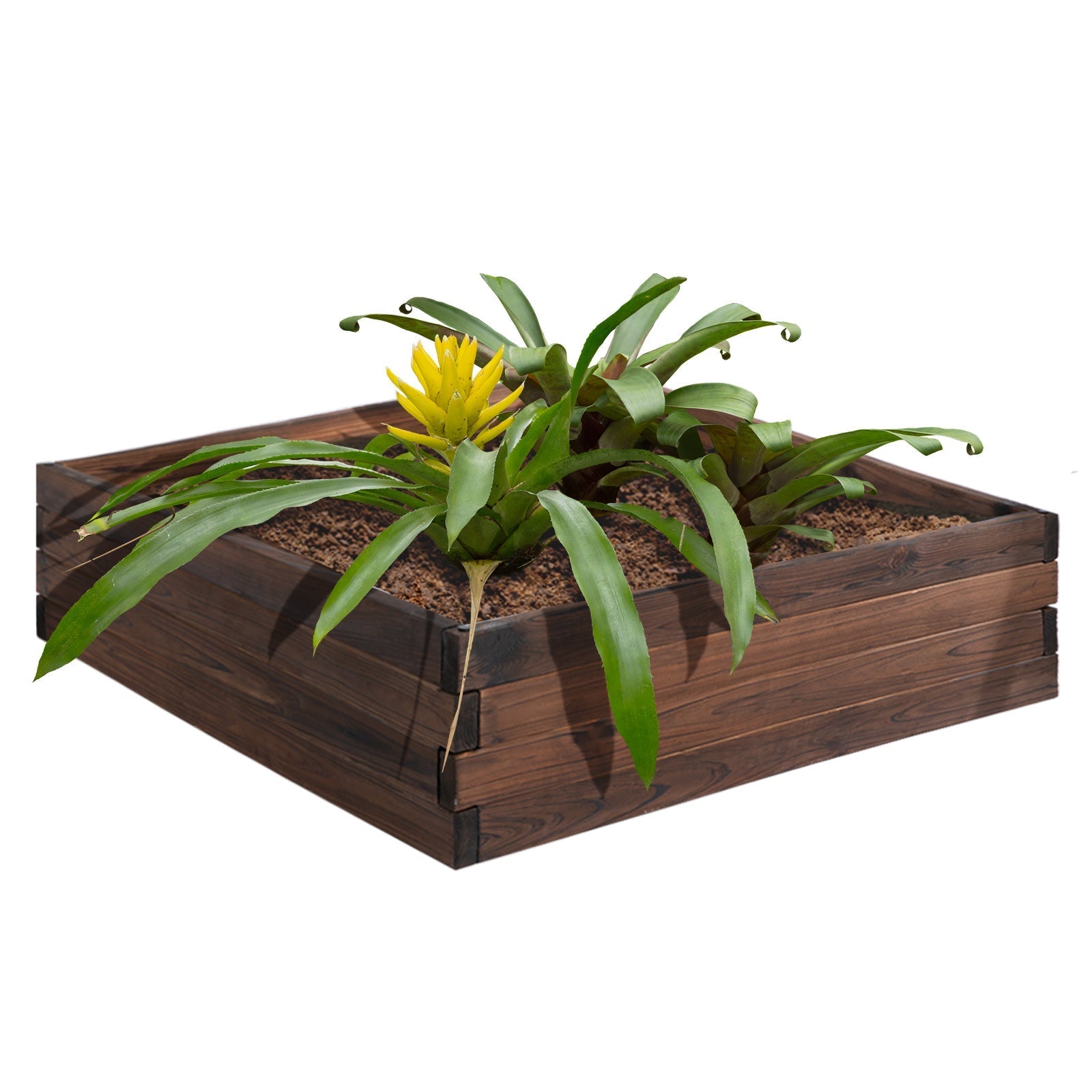 Garden Raised Bed Wooden Planter Box Outdoor Grow Containers For Outdoor Patio Plant Flower Vegetable Wooden Planter Boxes Carbonized  at Gallery Canada