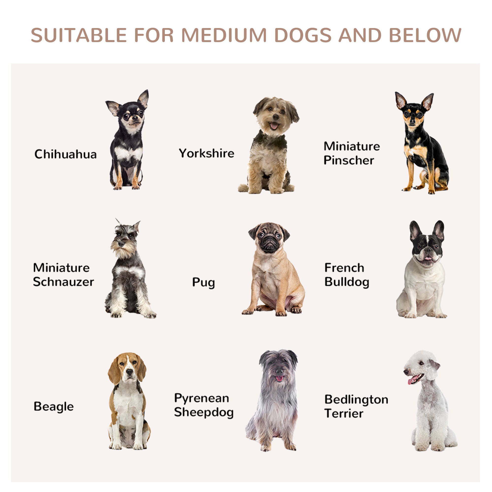 Dog Crate Furniture, Dog Kennel with Three Doors, Locks and Latches, Indoor Use, for Medium Dogs, Grey Houses, Kennels & Pens at Gallery Canada
