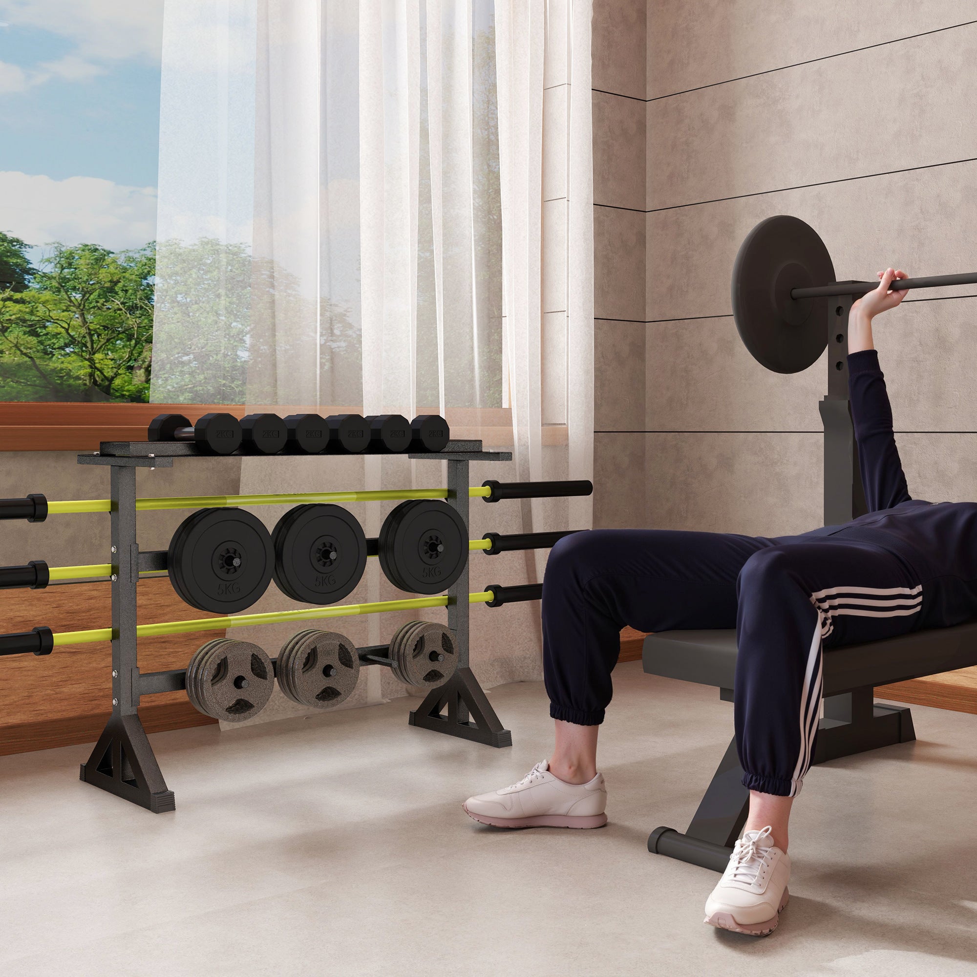 1100LBS Capacity Weight Rack, Weight Plate Rack, and Dumbbell Rack for Home Gym Storage Accessories at Gallery Canada