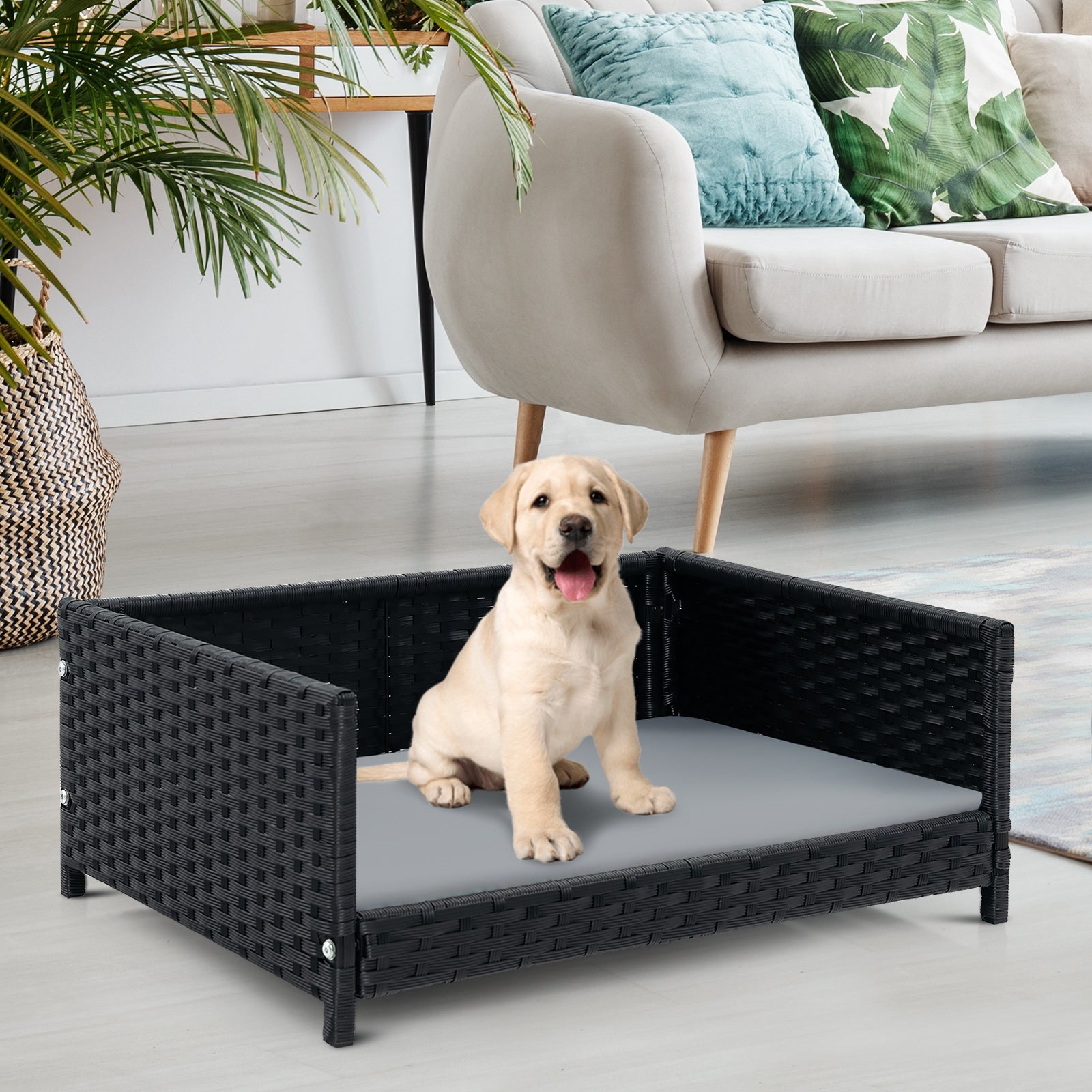 Rattan Dog Bed with Waterproof Soft Cushion for Medium Small Dogs, Cats, Gray Dog Supplies   at Gallery Canada