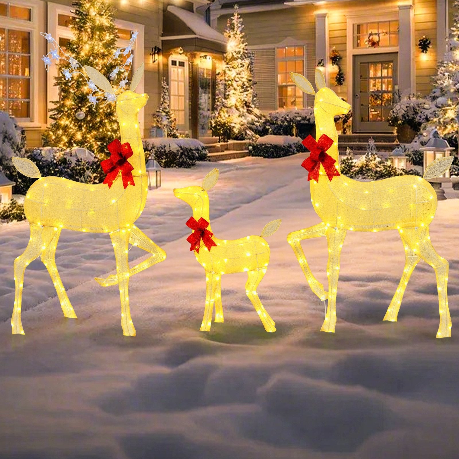 3 Pieces Lighted Family Deer Set with LED Lights and RGB Flashing Lights, Multicolor Christmas Decor & Accessories   at Gallery Canada