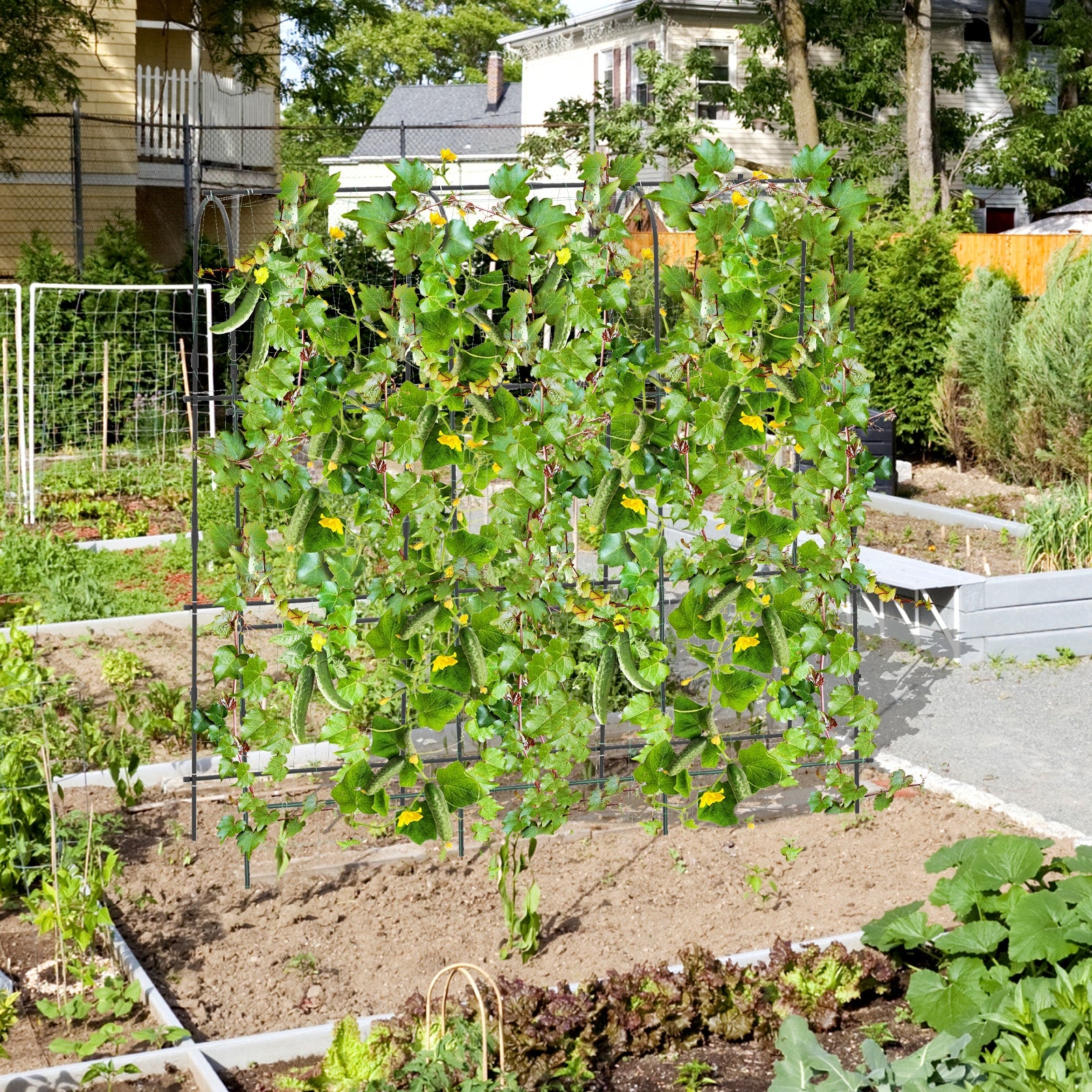 71 x 71 Inch U-Shaped Tall Garden Arched Trellis for Climbing Plants Plant Supports at Gallery Canada