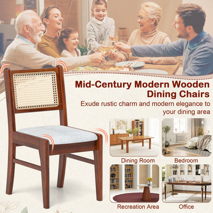 Wooden Kitchen Chairs with Cane Back Rubber Wood Frame and Padded Seat, Coffee Dining Chairs at Gallery Canada