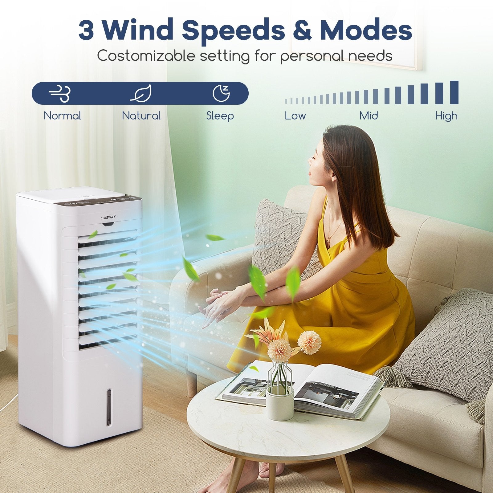 Evaporative Air Cooler and Heater with 3 Modes 3 Speeds and 2 Ice Boxes, White Air Coolers at Gallery Canada