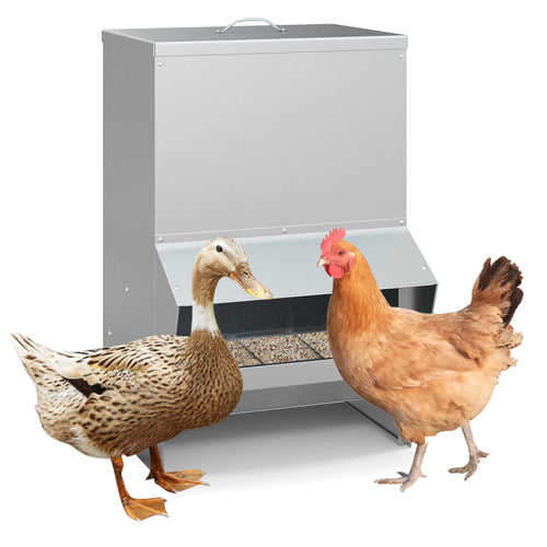 Wall Mount Galvanized Chicken Feeder 50 Pounds Capacity, Silver