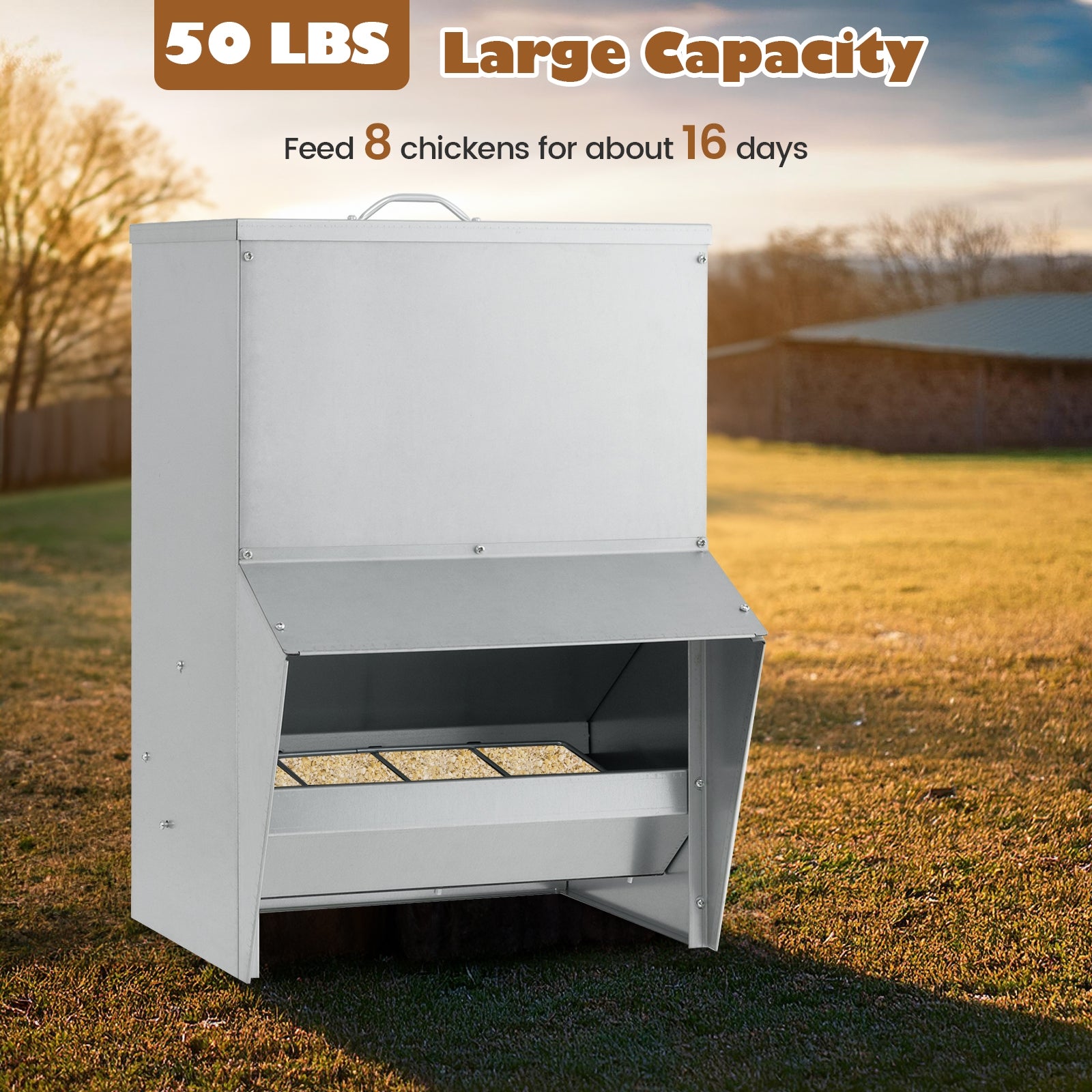 Wall Mount Galvanized Chicken Feeder 50 Pounds Capacity, Silver Chicken Coops at Gallery Canada