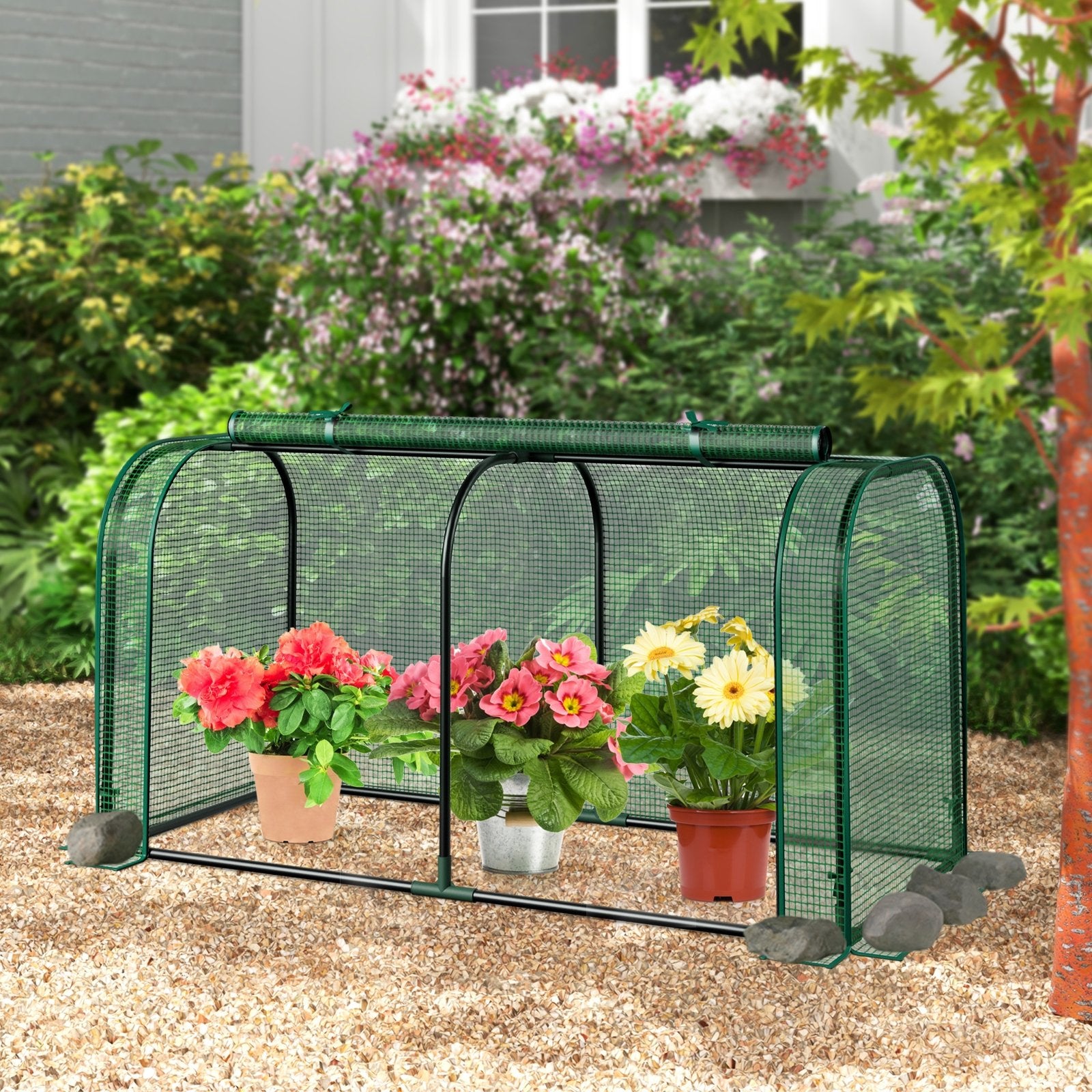 Mini Tunnel Greenhouse with Roll-up Zipper Door, Green Greenhouses at Gallery Canada