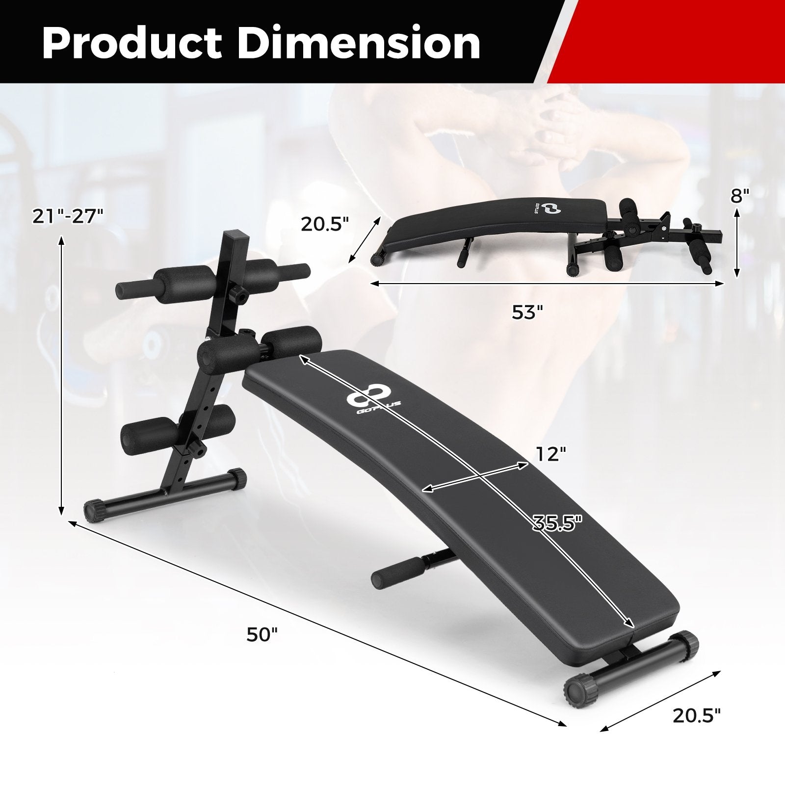 Adjustable Decline Sit Up Bench for Exercise for Home Gym, Black Exercise Machines   at Gallery Canada