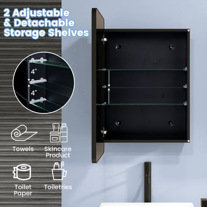 20 x30 Inch Multi-Functional Bathroom Mirror Cabinet with Adjustable Shelves, Black Wall Cabinets   at Gallery Canada