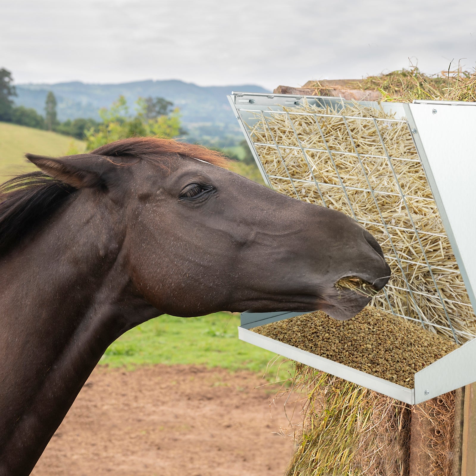 2-in-1 Wall-Mounted Hay Rack Hay and Grain Feeder with Adjustable Hooks, Silver Pets   at Gallery Canada