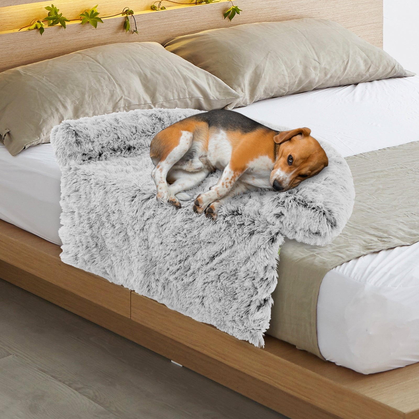 White Plush Calming Dog Couch Bed with Anti-Slip Bottom-M, White Cat Supplies at Gallery Canada