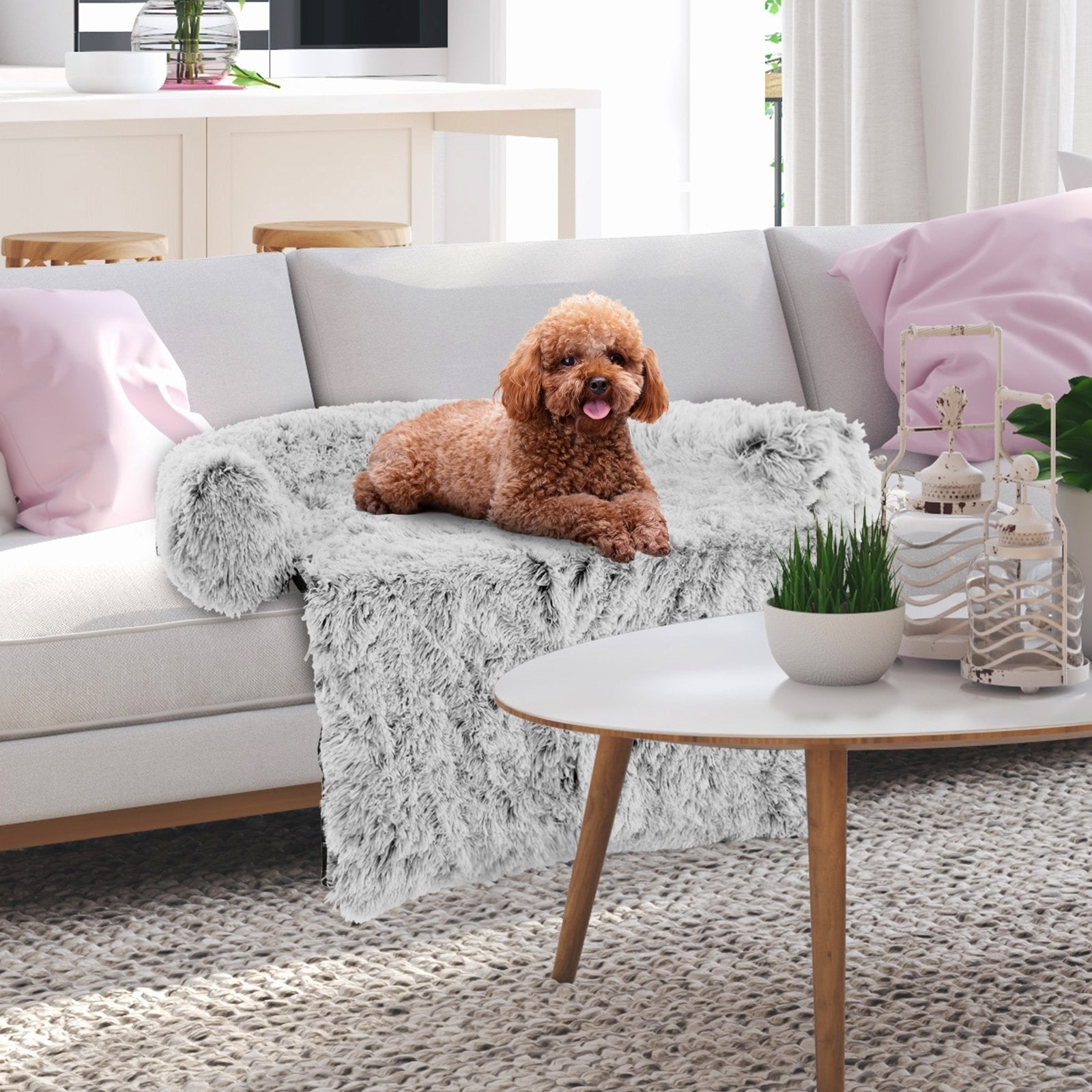 White Plush Calming Dog Couch Bed with Anti-Slip Bottom-S, White Cat Supplies   at Gallery Canada