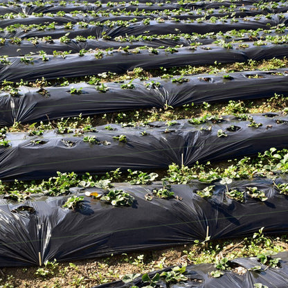 6.5 x 330/4 x 250/6 x 300 Feet Weed Barrier Landscape Fabric-6.5 ft, Black Garden Tools   at Gallery Canada