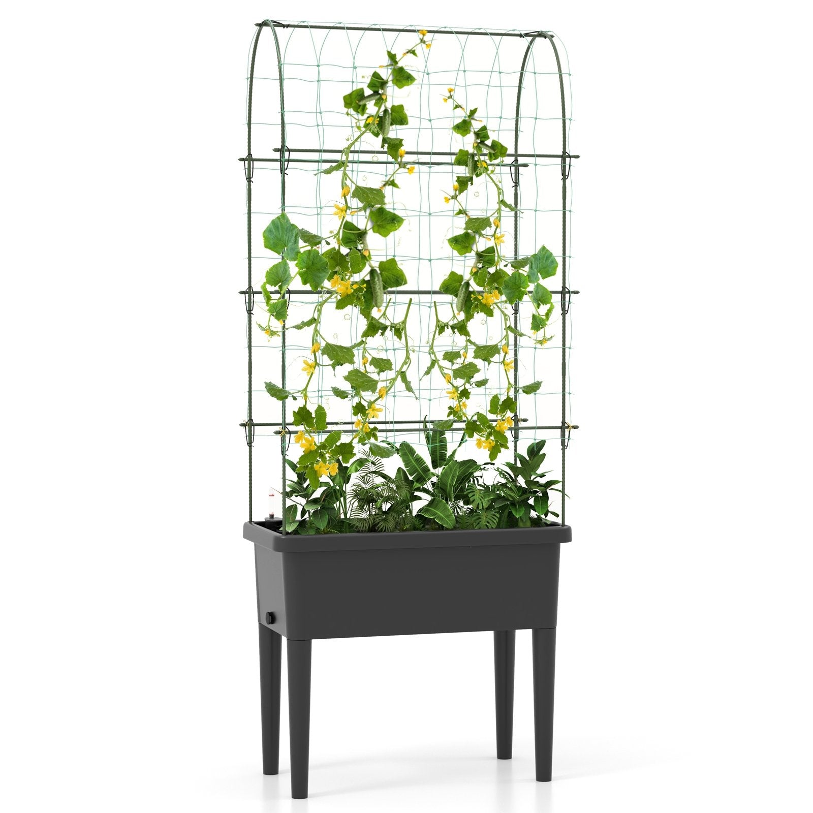 Self-watering Raised Garden Bed Elevated Planter with Climbing Trellis, Black Raised Garden Beds   at Gallery Canada