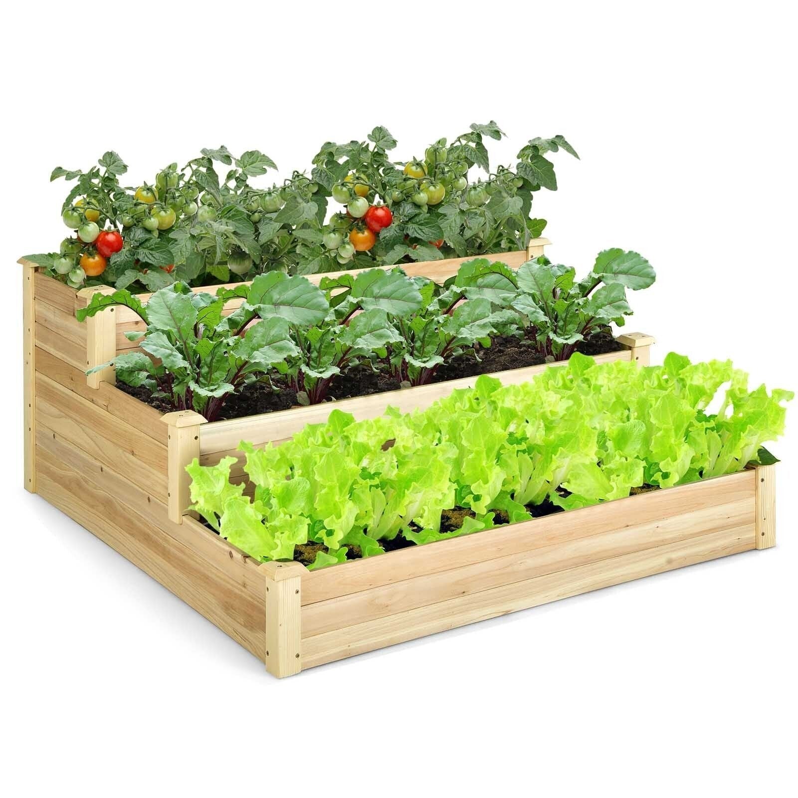 3-Tier Raised Garden Bed Wood Planter Kit for Flower Vegetable Herb, Natural Raised Garden Beds   at Gallery Canada