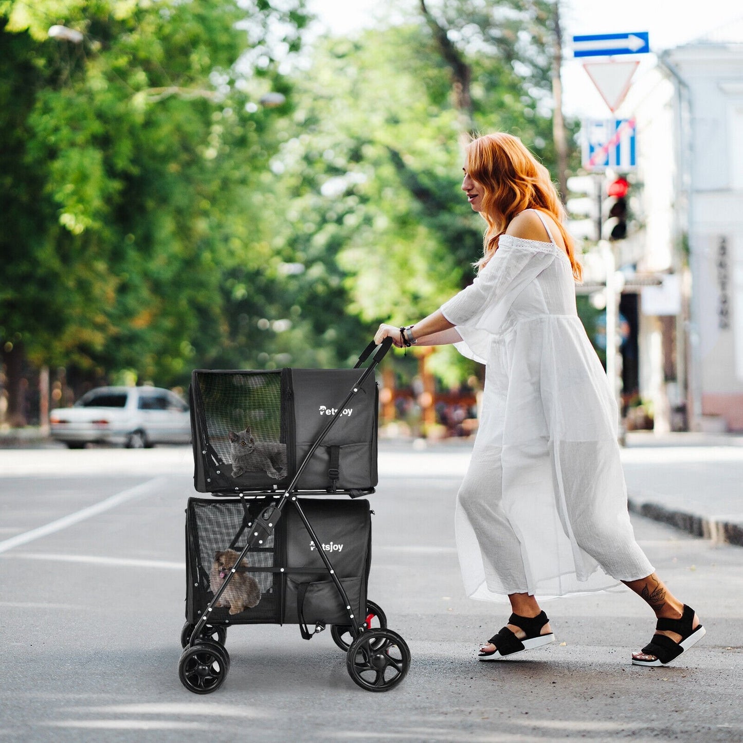 4-in-1 Double Pet Stroller with Detachable Carrier and Travel Carriage, Black - Gallery Canada