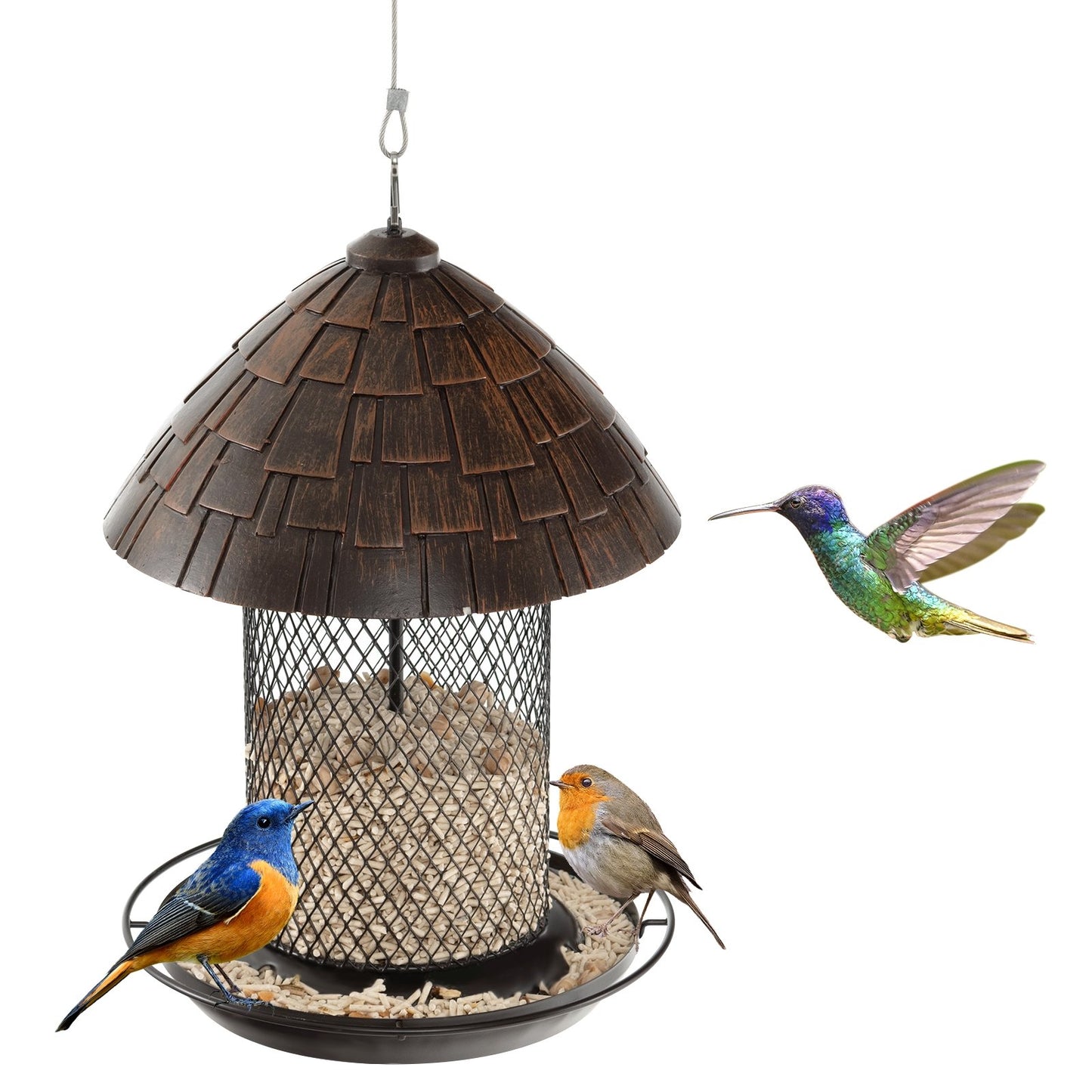 Squirrel-proof Metal Wild Bird Feeder with Perch and Drain Holes, Natural - Gallery Canada