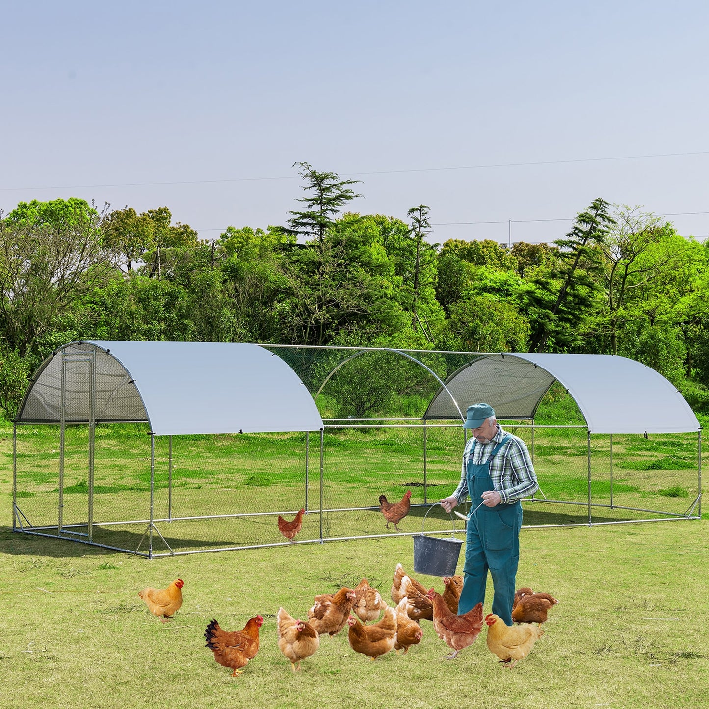 Large Metal Chicken Coop with Cover - Gallery Canada