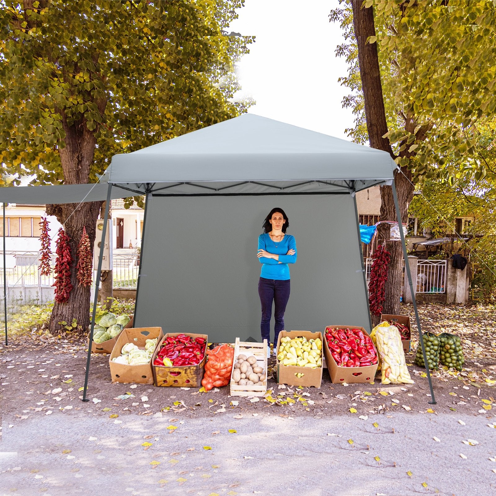 Patio 10x10FT Instant Pop-up Canopy Folding Tent with Sidewalls and Awnings Outdoor, Gray Canopies   at Gallery Canada