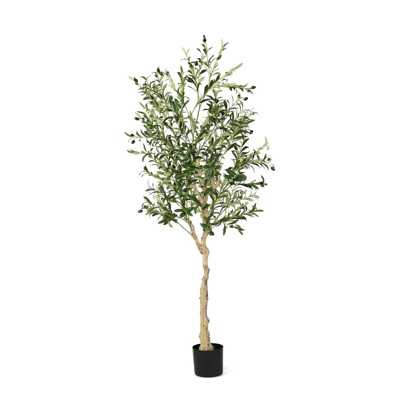 6 Feet  Artificial Olive Tree in Cement Pot-1 Piece, Green Faux Plants   at Gallery Canada