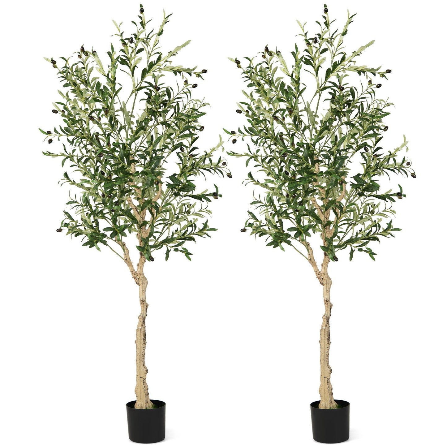 6 Feet  Artificial Olive Tree in Cement Pot-1 Piece, Green Faux Plants   at Gallery Canada