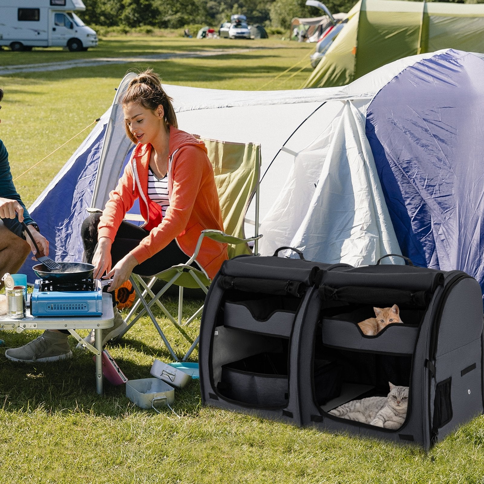 Double Compartment Pet Carrier with 2 Removable Hammocks, Black Cat Supplies   at Gallery Canada