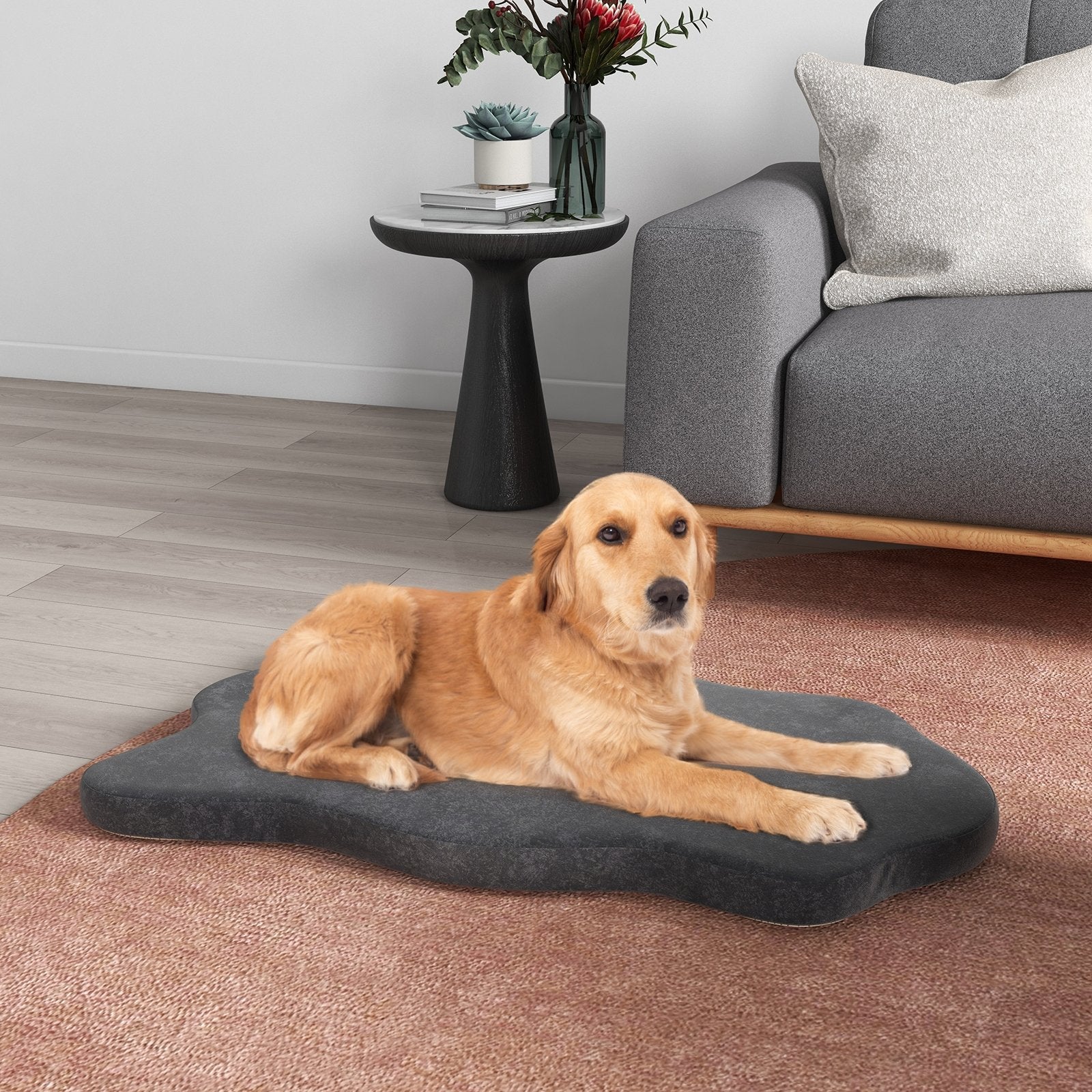 Orthopedic Dog Bed with Memory Foam Support for Large Dogs, Gray Dog Supplies   at Gallery Canada