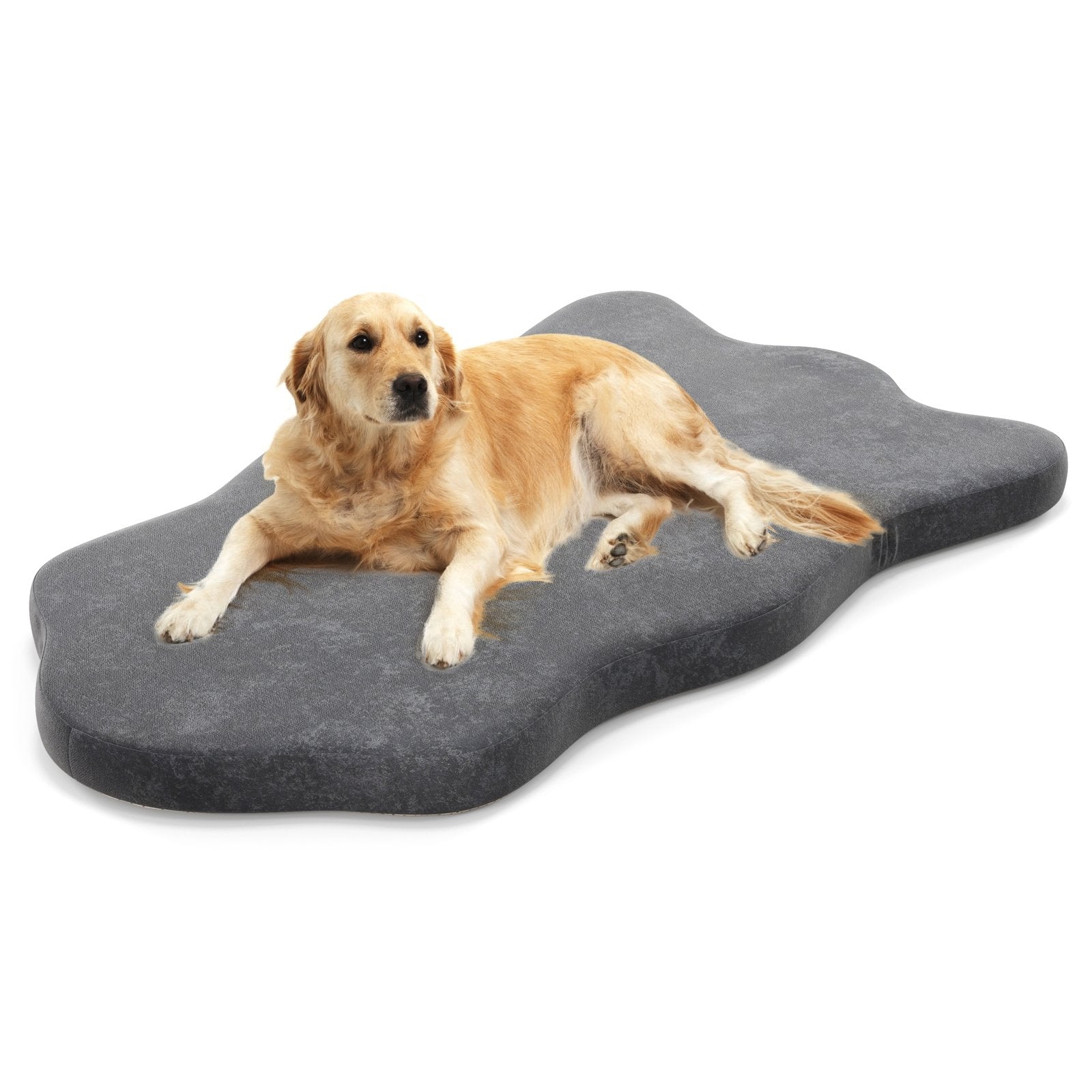 Orthopedic Dog Bed with Memory Foam Support for Large Dogs, Gray Dog Supplies Gray at Gallery Canada