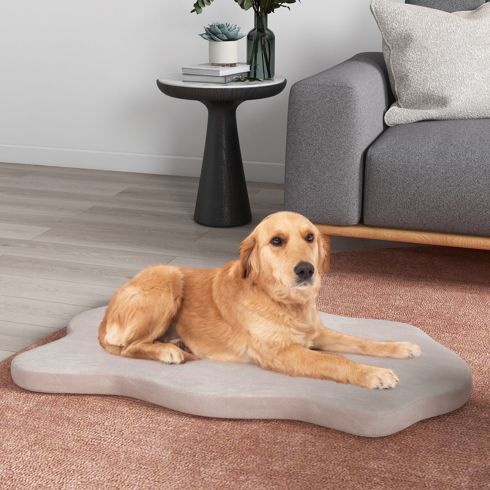 Orthopedic Dog Bed with Memory Foam Support for Large Dogs, Beige Dog Supplies   at Gallery Canada