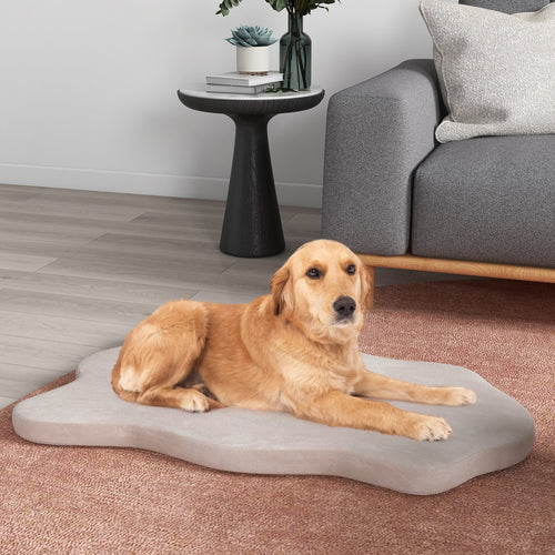 Orthopedic Dog Bed with Memory Foam Support for Large Dogs, Beige