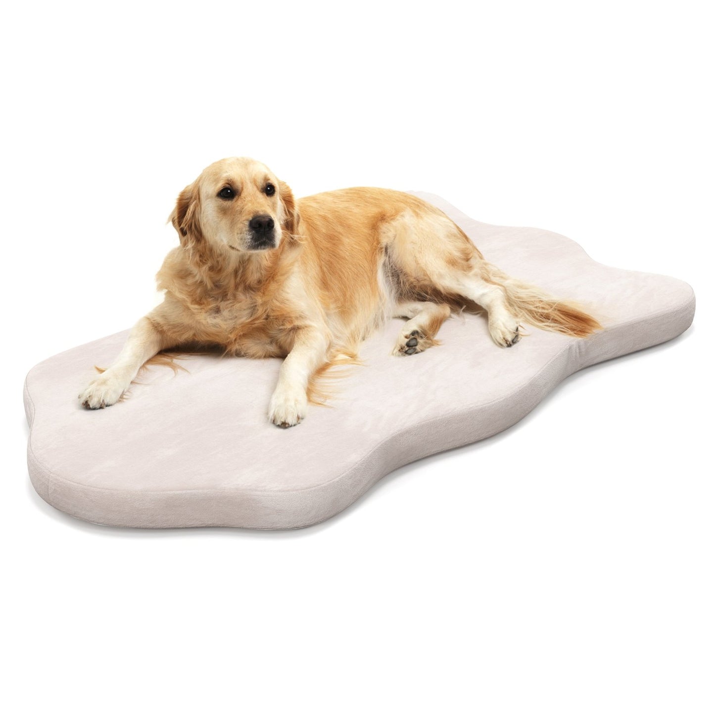 Orthopedic Dog Bed with Memory Foam Support for Large Dogs, Beige Dog Supplies   at Gallery Canada