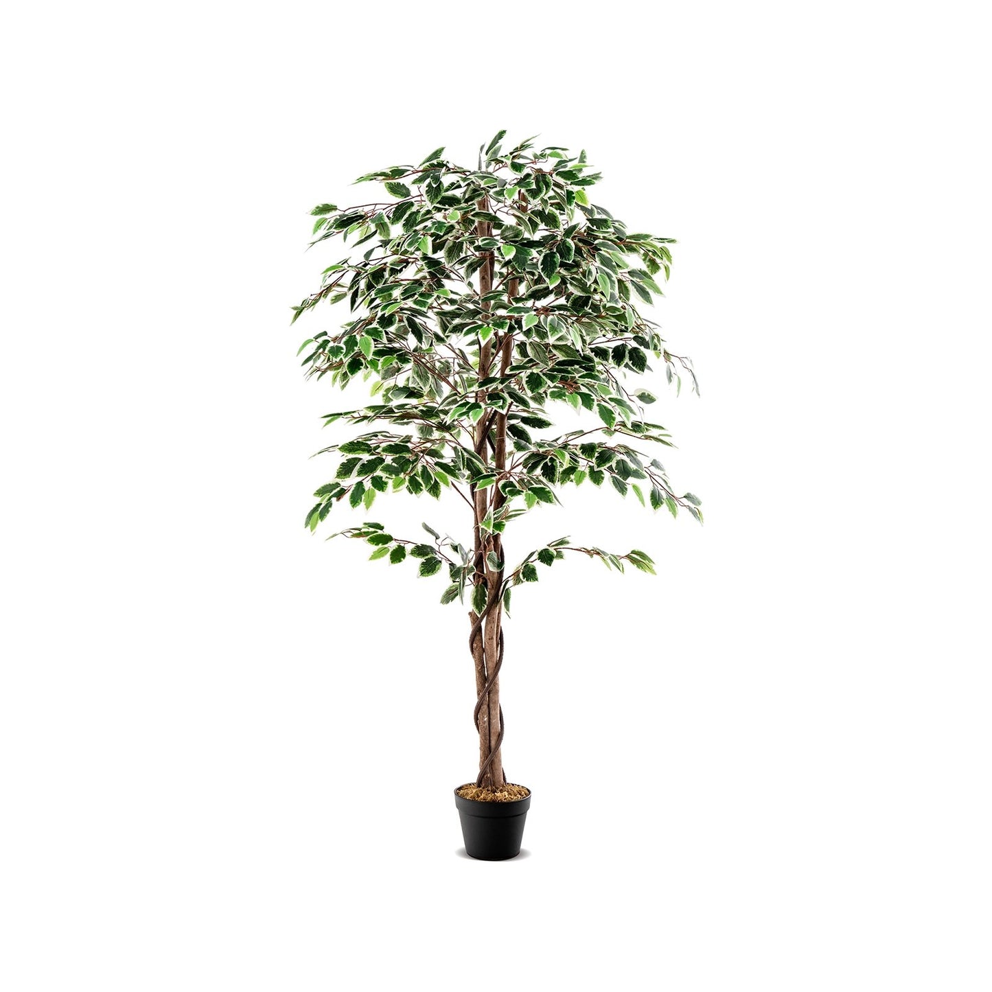 Artificial Ficus Tree Tall Faux Indoor Plant with 1008 Leaves Nursery Pot and Dried Moss, Green Faux Plants   at Gallery Canada