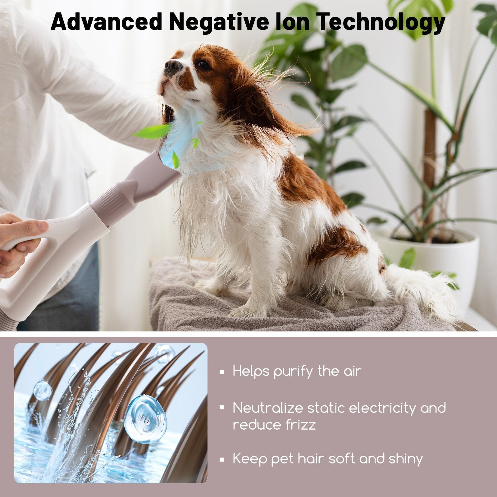 Dog Cat Hair Blower with Negative Ion Function and Adjustable Temperature, White Pets   at Gallery Canada