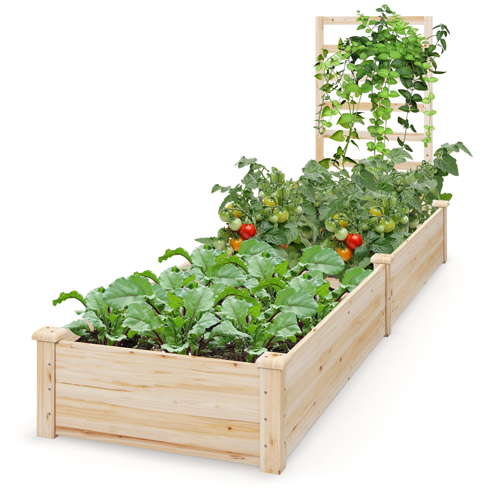 Raised Garden Bed with Planter Box and Trellis, Natural Raised Garden Beds at Gallery Canada