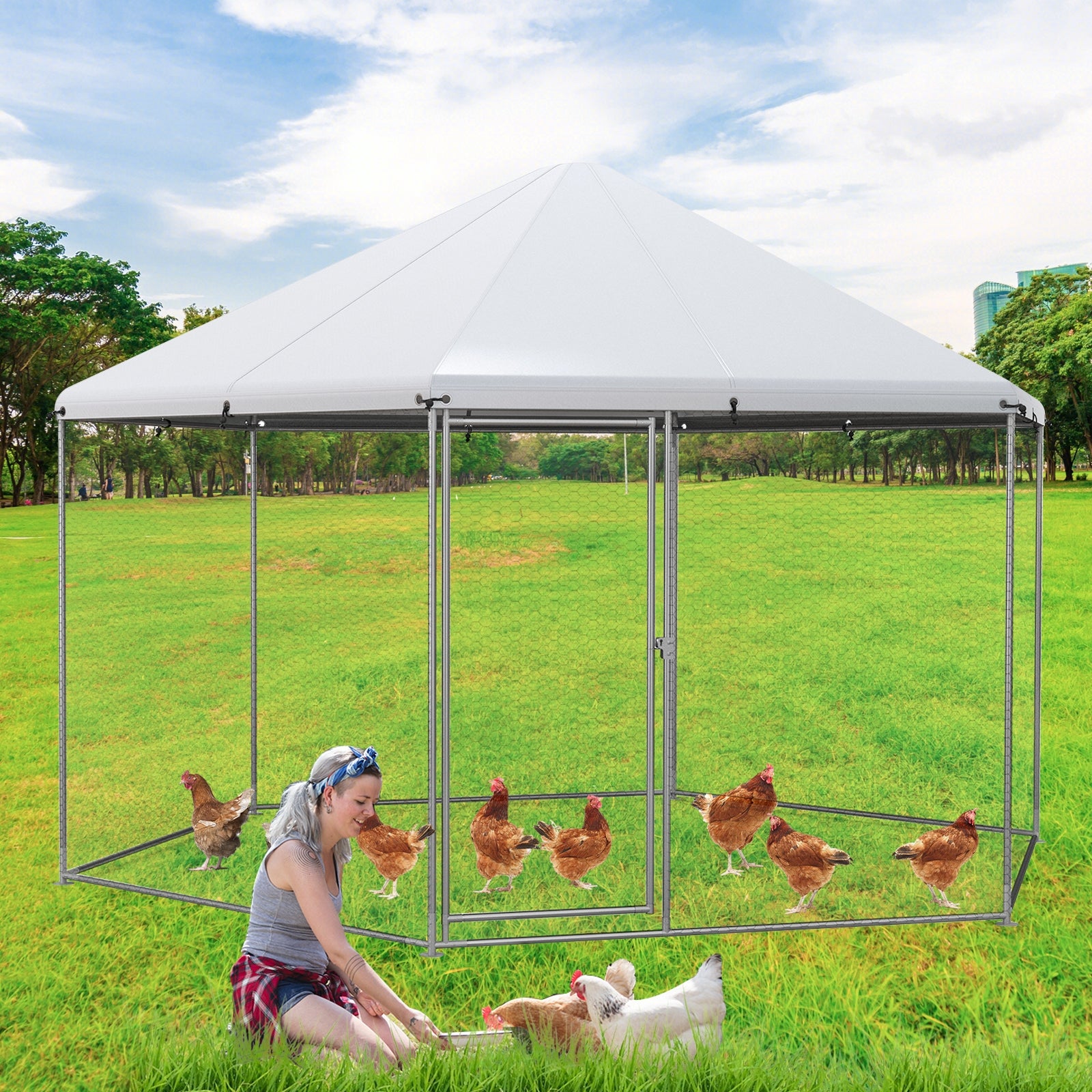 13FT Large Metal Hexagonal Chicken Coop with Wire Mesh and Lockable Door, Silver Chicken Coops at Gallery Canada