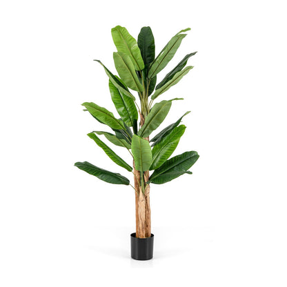 5.5/6.5 Feet Tall Artificial Banana Tree with 10/27 Large Leaves-6.5 ft Faux Plants   at Gallery Canada