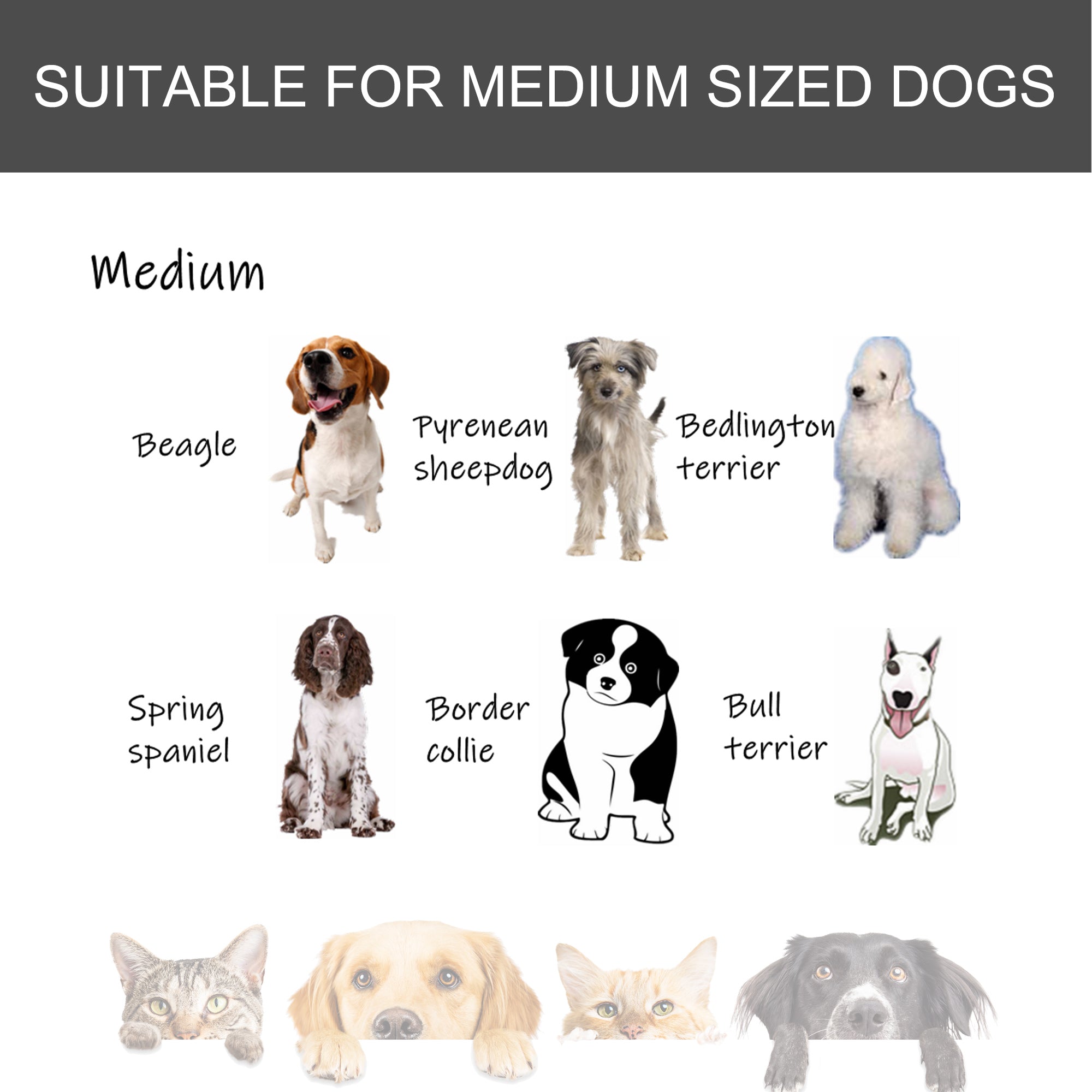 Folding Heavy Duty Dog Crate Heavy Duty Cage for Medium Sized Dogs with Double Doors, Lockable Wheels Tray, 37