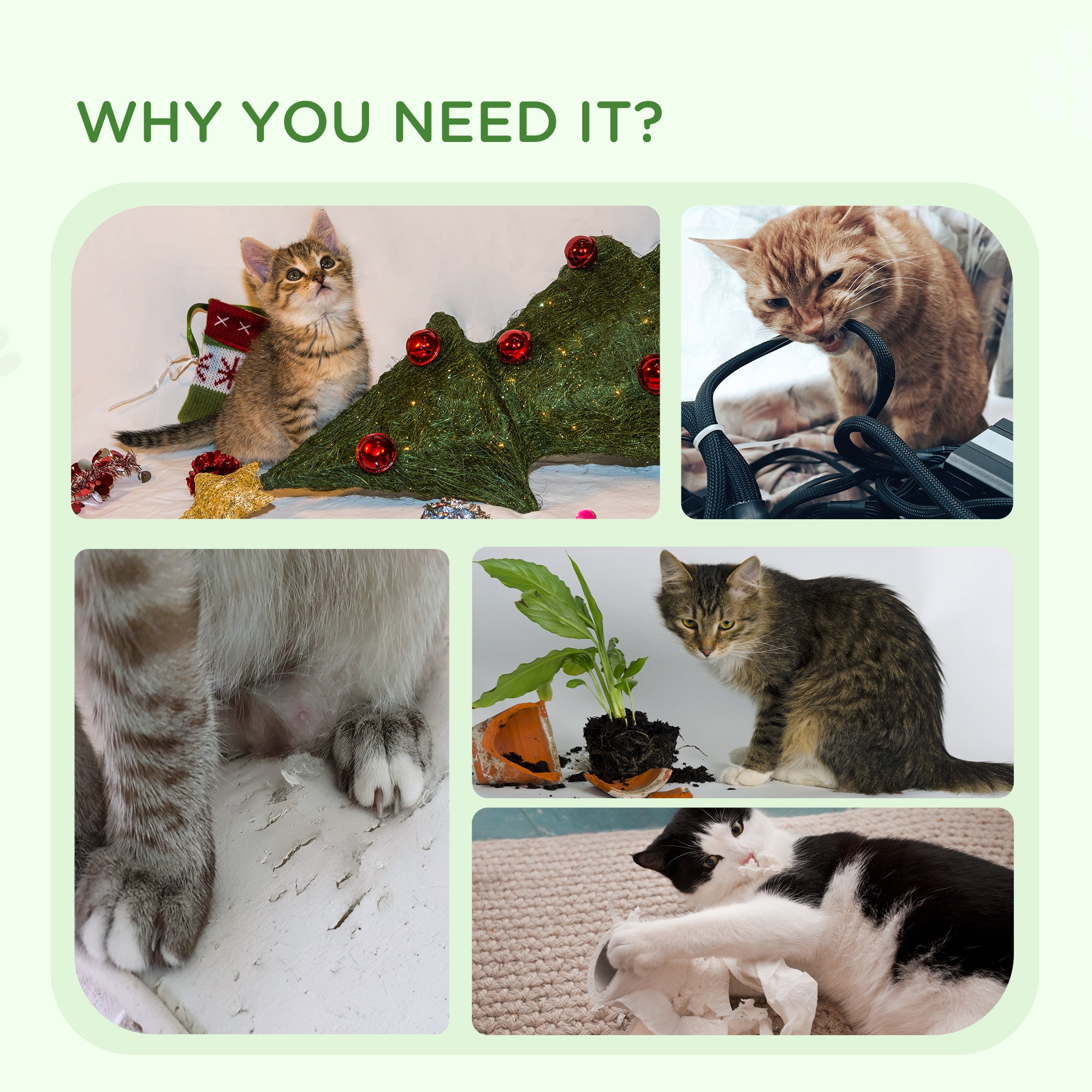 Cat Tower Condo for Indoor Cats, Small Cat Tree with Jute Scratching Posts, Top Perch, Dangling Balls, White Cat Trees at Gallery Canada
