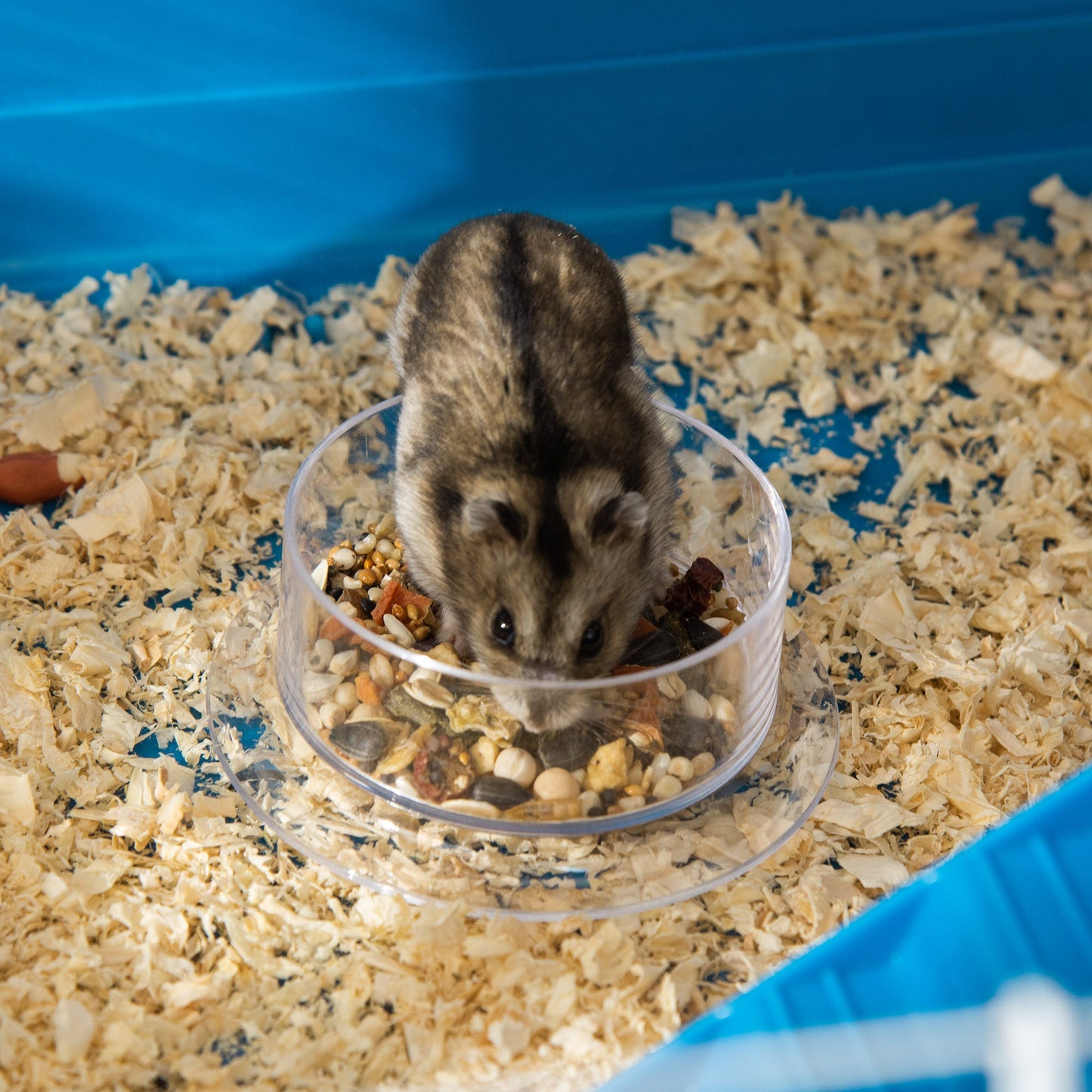 31" Large Hamster Cage, Small Animal House, Multi-storey Gerbil Haven, Tunnel Tube System, with Water Bottle, Exercise Wheel, Food Dish, Ramps, Blue Hamster Cages   at Gallery Canada