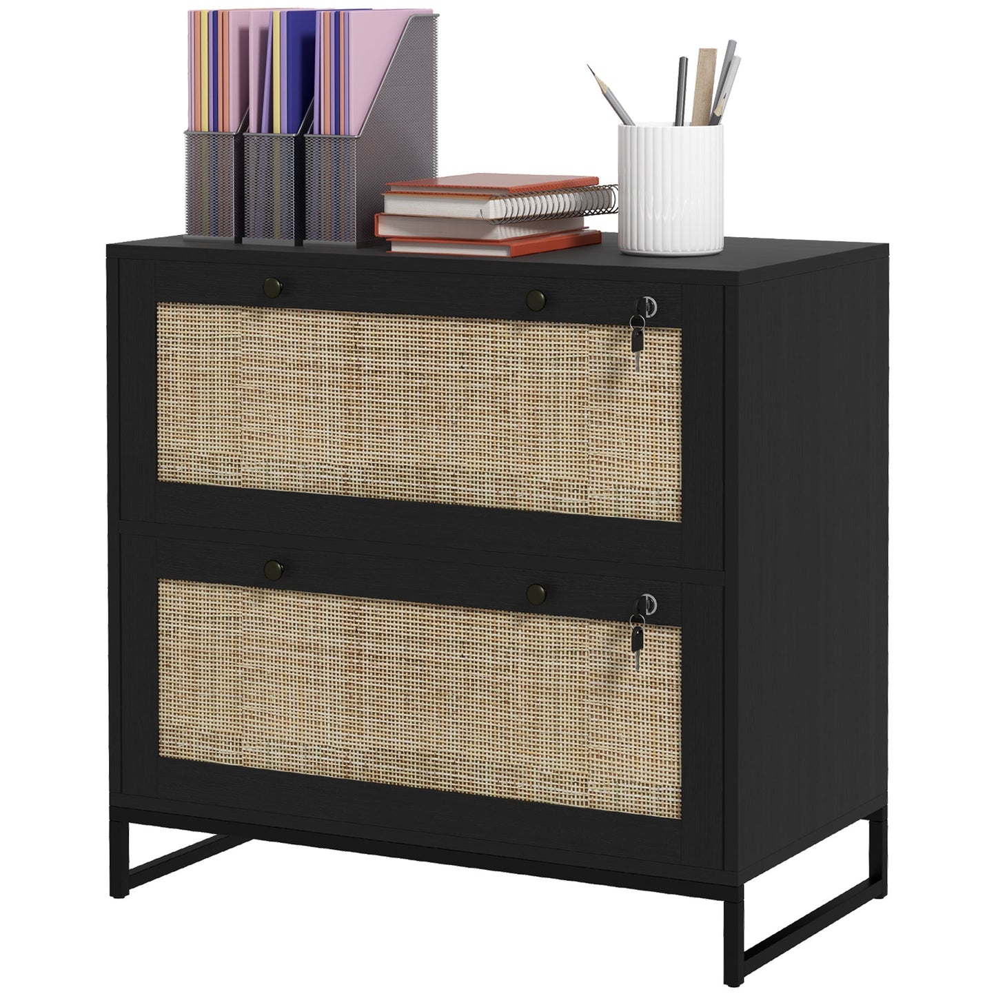 Lockable Filing Cabinet, Boho 2 Drawer File Cabinet with Adjustable Hanging Bar for Letter, A4, and Legal Size, Black Office Cabinets & Cupboards Multi Colour  at Gallery Canada