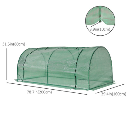 Mini Greenhouse Portable Hot House for Plants with Zippered Doors for Outdoor, Indoor, 79" x 39" x 32", Green Mini Greenhouses   at Gallery Canada