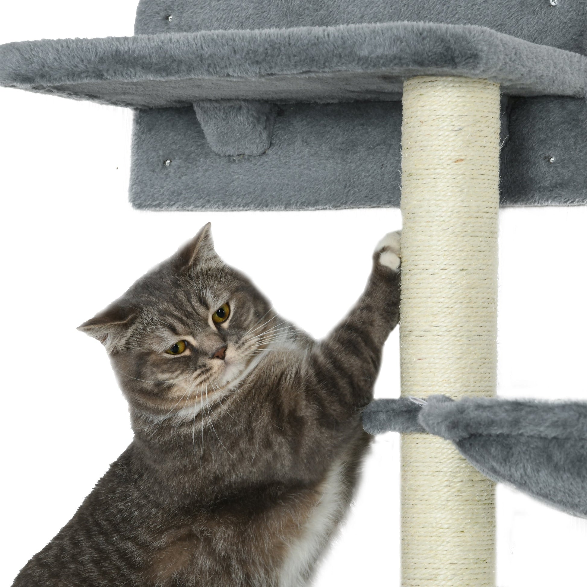 Cat Wall Shelves with Scratching Posts, Hammock, Steps, Platforms, Grey Cat Climbing Wall   at Gallery Canada