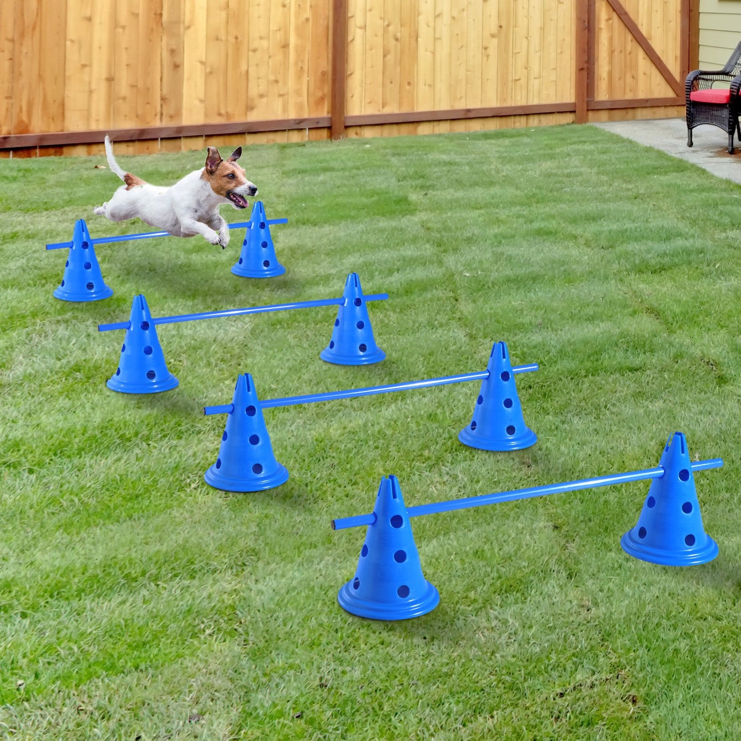 Set of 4 Dog Agility Hurdle Cone Set Agility Training Equipment 8 Cones 4 Rods Starter Kit with carrying bag Blue Dog Agility Training Equipment   at Gallery Canada