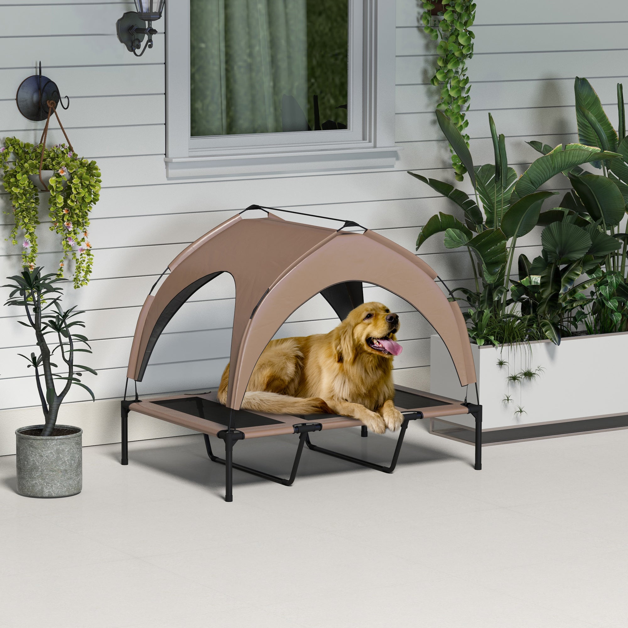 Raised Dog Bed Cooling Dog Cot w/ Canopy Washable Breathable Mesh, for Large Dogs, Coffee Elevated Dog Beds at Gallery Canada