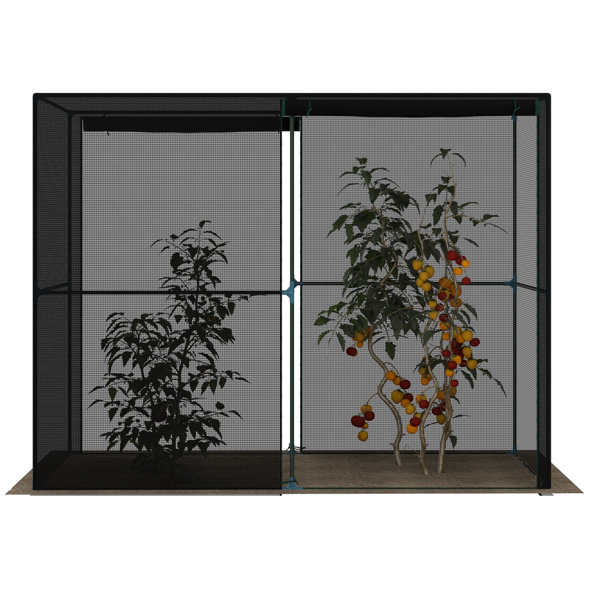 Heavy Duty Outdoor Greenhouse with Roll-Up Zipper Doors for Plants, Black Walk In Greenhouses   at Gallery Canada