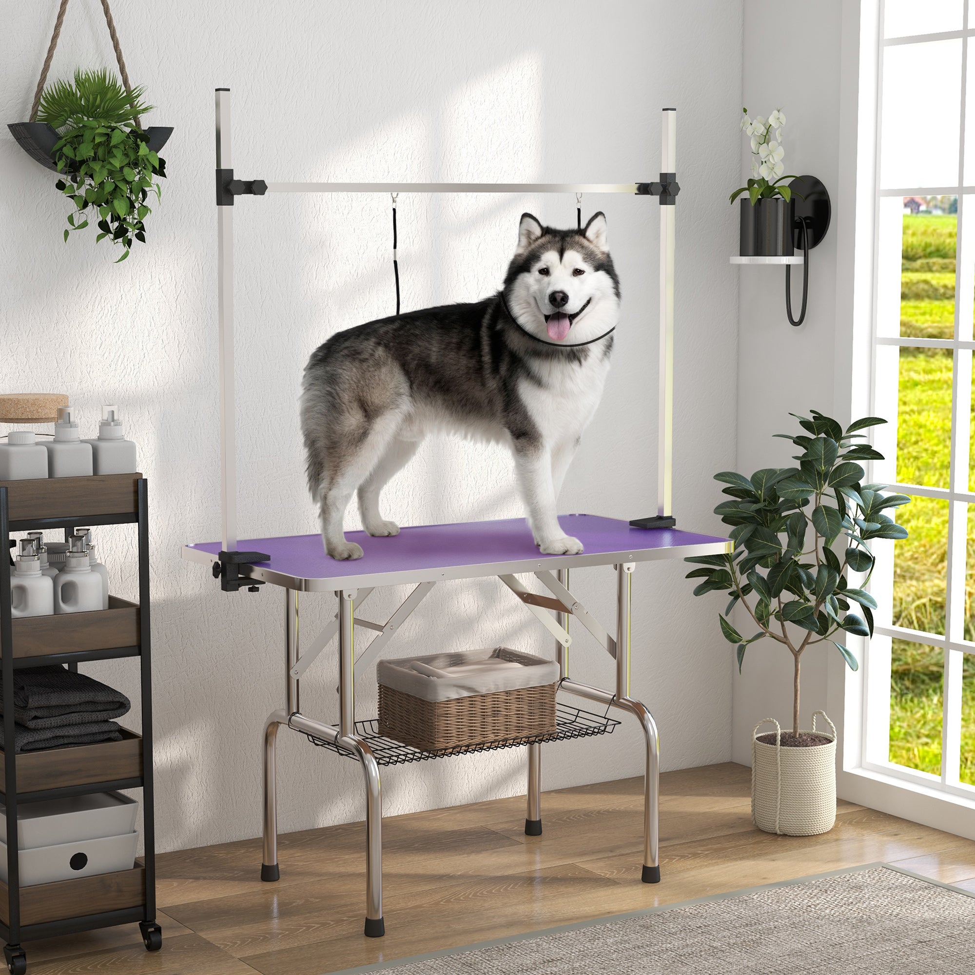 Adjustable Dog Grooming Table with 2 Safety Slings, Storage Basket, Purple Dog Grooming Tables at Gallery Canada