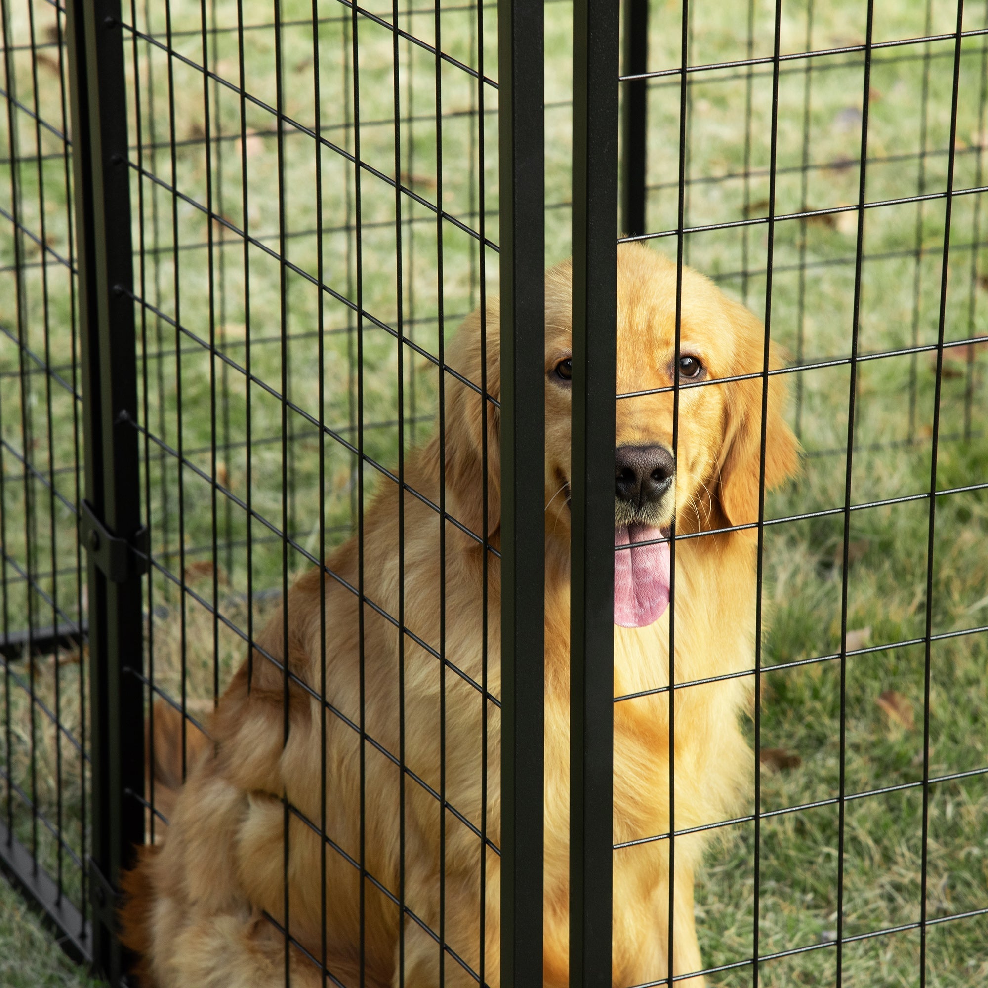 Outdoor Dog Kennel, Lockable Pet Playpen Crate with Top Cover, Black Houses, Kennels & Pens   at Gallery Canada