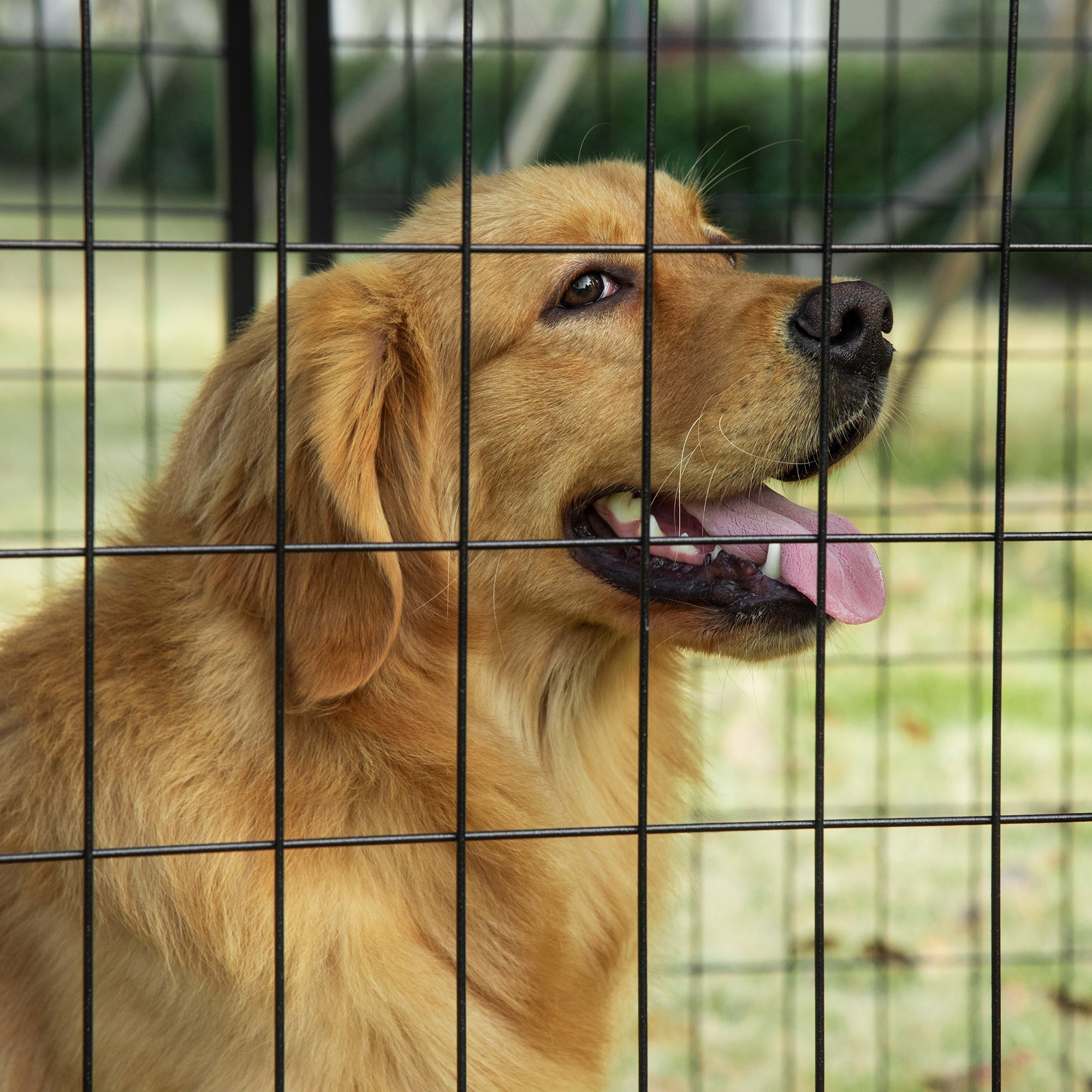 Outdoor Dog Kennel, Lockable Pet Playpen Crate with Top Cover, Black Houses, Kennels & Pens   at Gallery Canada