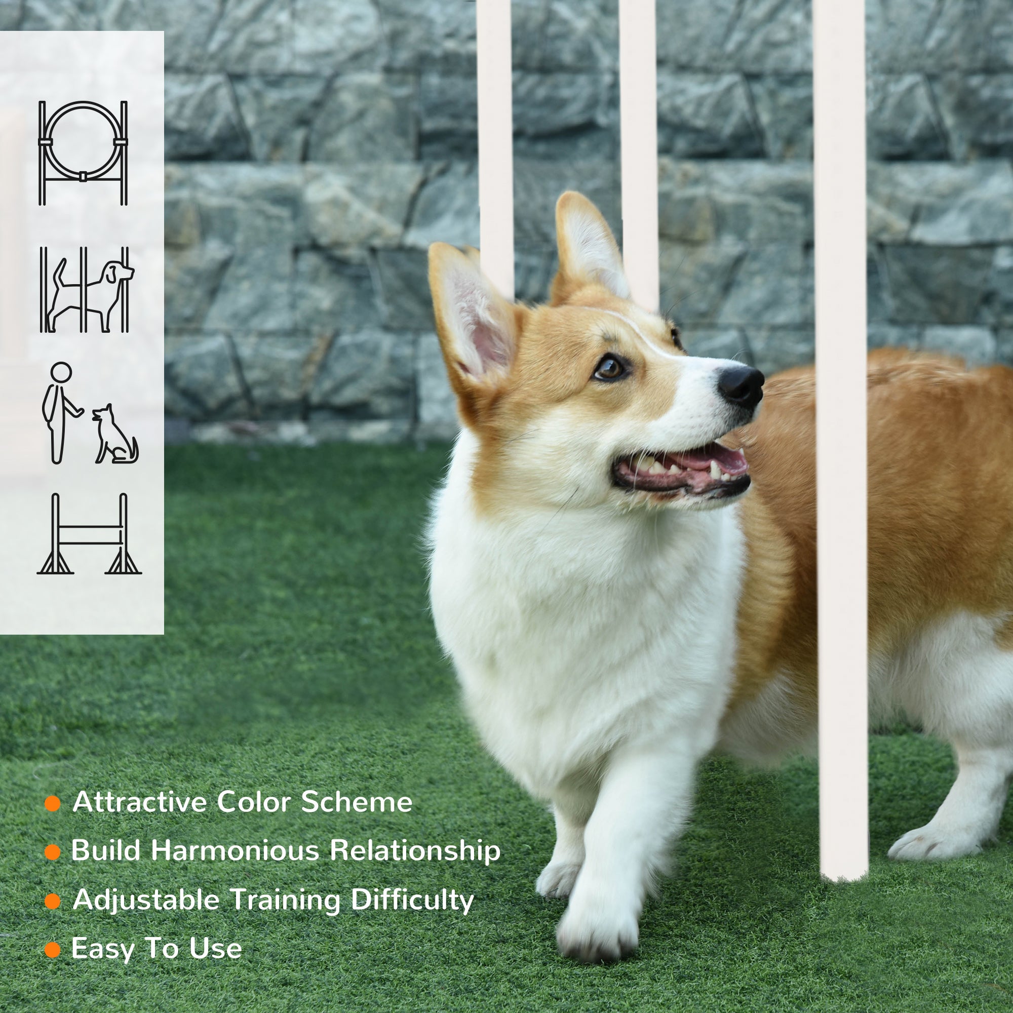 5 Pieces Dog Agility Training Equipment with Disc, Whistle, Weaves Poles, Adjustable Jumping Poles, Food Bag, Carry Bag Dog Agility Training Equipment at Gallery Canada