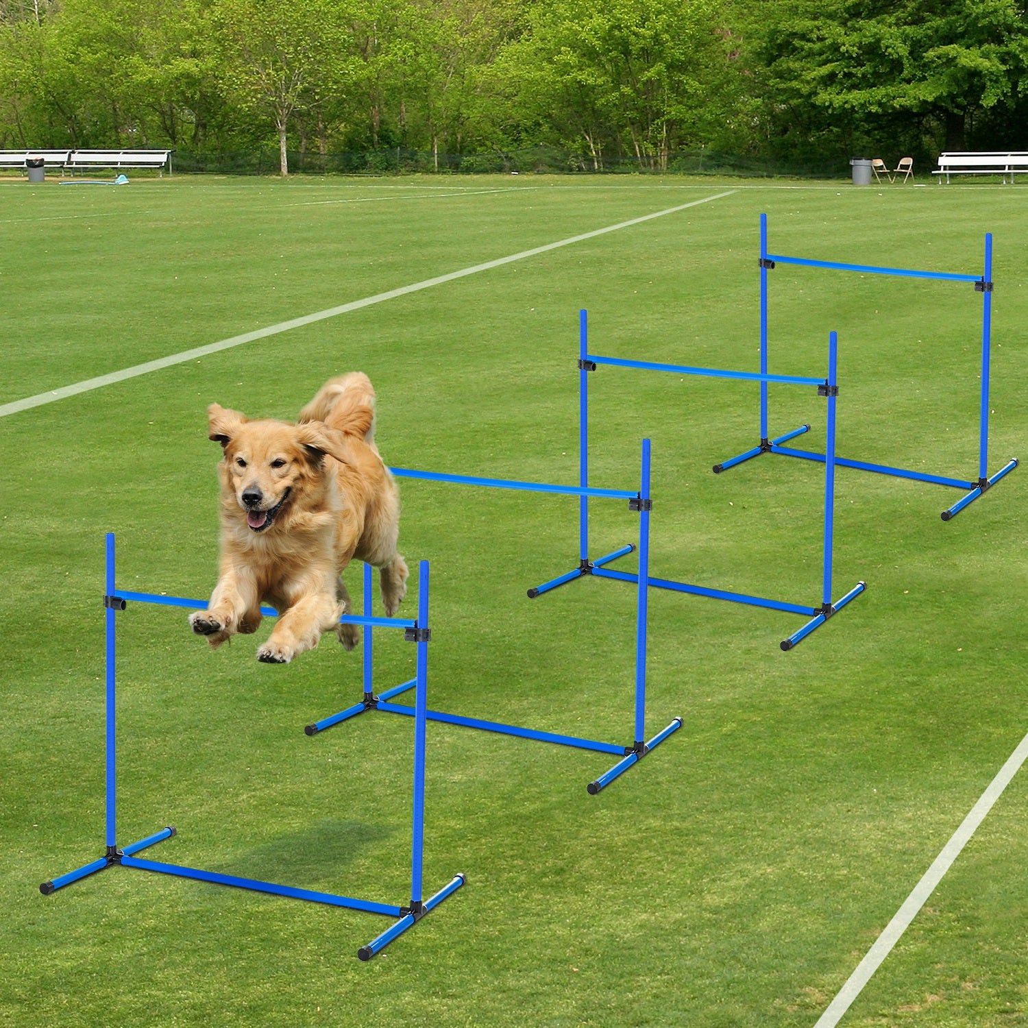 Set of 4 Dog Agility Training Equipment Adjustable Jump Bar Pet Exercise Kit with Carrying Bag (Blue) Dog Agility Training Equipment at Gallery Canada